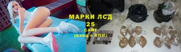 прущие крисы Карпинск