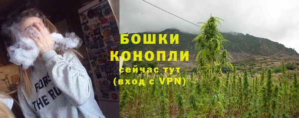 прущие крисы Карпинск